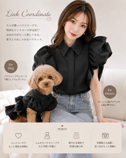 Link Coordinate Puff Sleeve Browse