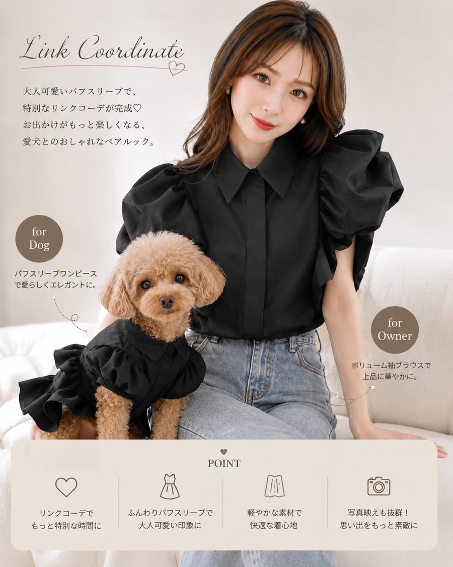 Link Coordinate Puff Sleeve Browse