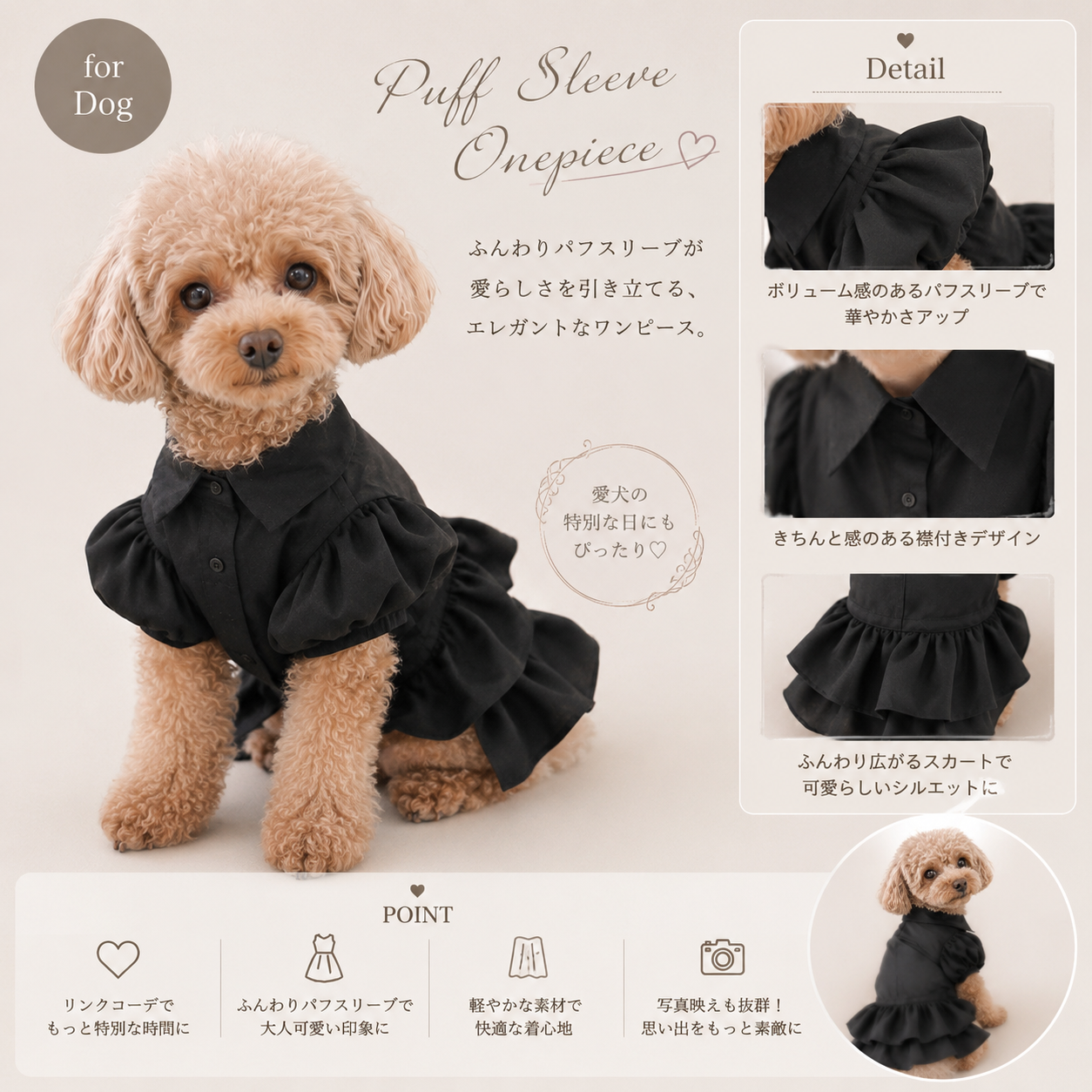 Link Coordinate Puff Sleeve Browse