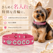 キラキラ☆彡 名入れ首輪