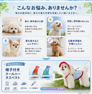 くーる
