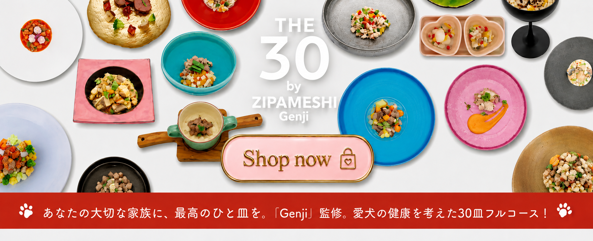THE 30 by ZIPAMESHI Genji